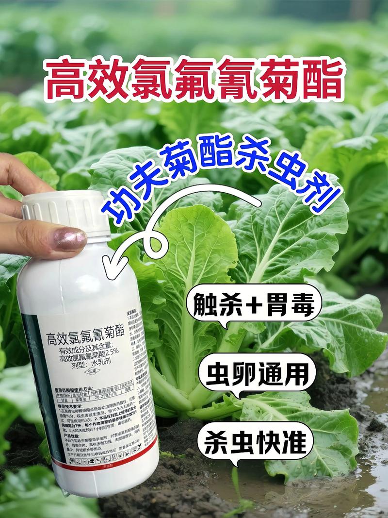 沈阳代生中心:农药对供卵代生妈妈的危害